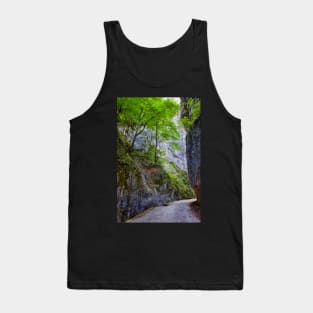 Beautiful gorge in Carpathian mountains Tank Top